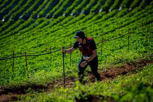 BIB: 
                            <button type="button" onclick="openModal(19160966)" class="btn btn-primary btn-sm float-right btn-popup" data-toggle="modal" data-target=".modal-high-quality">
                        <i class="fas fa-shopping-cart"></i> Add to Cart
                    </button>
                                            <button type="button" onclick="isThisMe(19160966, true)" class="btn btn-success btn-sm float-right btn-popup btn-isme hidden" data-toggle="tooltip" data-placement="bottom" title="นี่คือรูปของคุณใช่ไหม คลิกที่นี่เพื่อเอาเข้าอัลบั้ม">
                        <i class="fas fa-plus"></i> Add to album
                    </button>
                    <button type="button" onclick="isThisMe(19160966, false)" class="btn btn-warning btn-sm float-right btn-popup btn-isnotme hidden">
                        <i class="fas fa-ban"></i> Remove from album
                    </button>